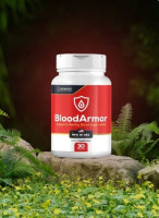 BloodArmor – Advanced Blood Sugar Support Supplement