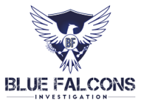 Blue Falcons Investigation