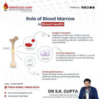 Telehealth for Bone Marrow Transplant Patients – Expert Care from Anywhere