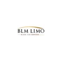 Boston Limo Mustache & Car service Inc