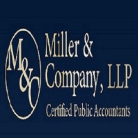 IRS Tax Audit Accountant Long Island