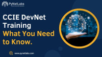 Best CCIE DevNet training in India