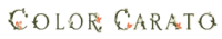 Color Carato | Custom Fine Jewelry & Birthstone Gifts