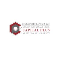 Capital Plus Auditing of Accounts