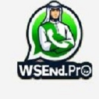 wsend