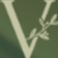 VESNA Lounge & Cafe