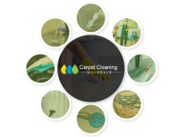 Carpet Cleaning Mulgrave