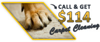 Carpet Cleaning Katy