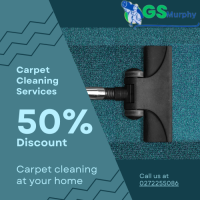 Carpet Cleaning The Ponds Affordable & Reliable Carpet Cleaning Service