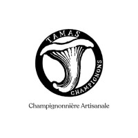 Cultivez des champignons !