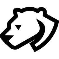 Raleigh Digital Marketing Agency - Cheetah