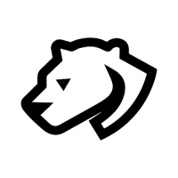 Boston Web Design Agency - Cheetah