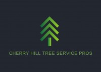 Cherry Hill Tree Service Pros