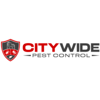 City Wide Moth Control Sydney