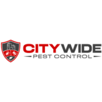 City Wide Dead Animal Removal Brisbane