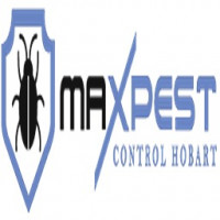Cockroach Pest Control Hobart