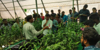 College Of Agriculture, Alani (Gadpati) dharashiv
