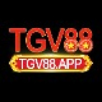 146 Nguyễn Lương Bằng, Quang Trung, Đống Đa, Hà Nội, Việt Nam