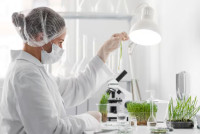 Enhancing Research Outcomes in the United States with Online Biostatistics Consulting Service