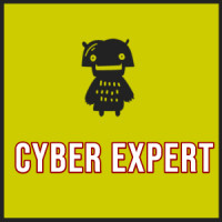 Hire Cyber Expert