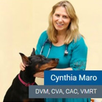 Cynthia Maro