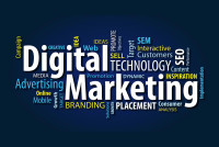 Digi Media Services|Best Digital Marketing Institute in Delhi