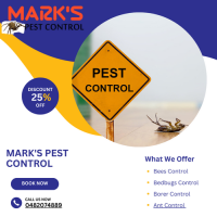 Understanding the Pest Problem in Melbourne