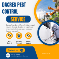 Expert Possum Eviction Services in Swanbank
