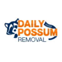 Daily Possum Removal – Professional Possum Removal Services Melbourne
