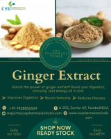 Top Ginger Extract Suppliers in Asia: What to Know