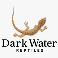 Dark Water Reptiles