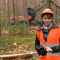 Darwin Tree Surgeons