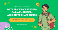 DumpsArena - Your Databricks Ace Exam