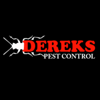 Dereks Possum Removal Brisbane