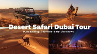 Dubai Desert Safari – A Must-Do Experience for Every Visitor