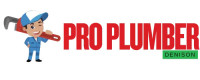 Pro Plumber Denison
