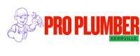 Pro Plumber Kerrville