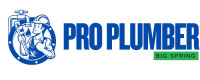 Pro Plumber Big Spring