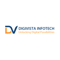 Digivista Infotech – Best IT & Digital Marketing Company