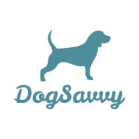 Dog Savvy | Positive Dog Training