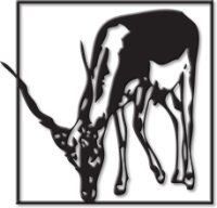 Texas Hill Country Hunting Land for Sale | Dominion Hunting Lands