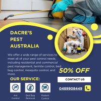 Expert Possum Eviction Services in Richlands : Dacre’s Pest Australia