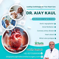 Dr Ajay kaul
