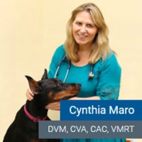Dr. Cindy Maro