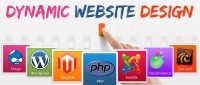 Dynamic Website Development at Dubai