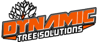 Dynamic Tree Solutions