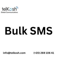 Top Bulk SMS Provider for Egypt & Beyond