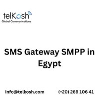 SMS Gateway SMPP in Egypt – Enterprise Messaging Solutions