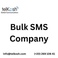Your Go-To Bulk SMS Company – Telkosh in Egypt