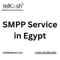 SMPP Service in Egypt for Automated SMS Delivery
